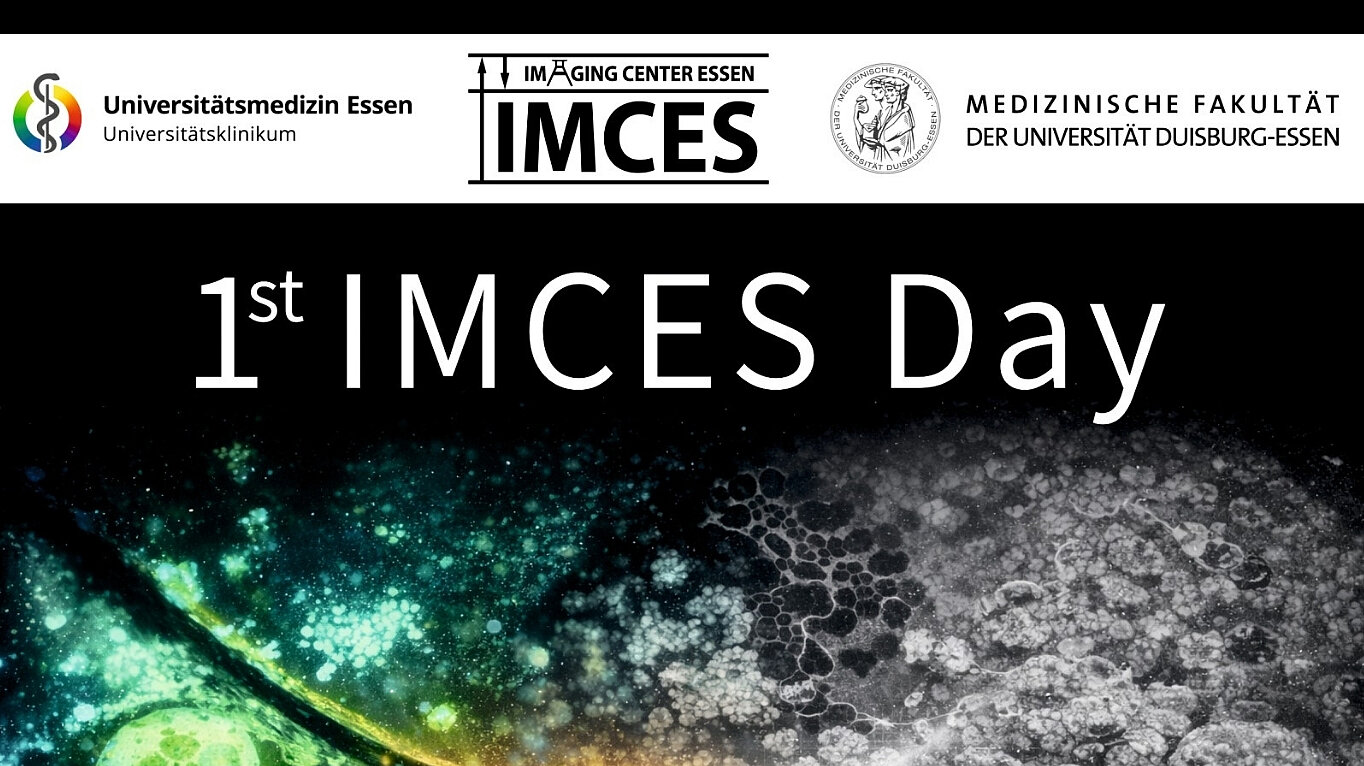 Ankündigungsplakat für den „1st IMCES Day“ mit dem Titel „Multimodal Visions of Life – Light Microscopy, Electron Microscopy, and the Power of CLEM“. Die Veranstaltung findet am 18. November 2026 von 9:00 bis 16:00 Uhr im Medizinischen Forschungszentrum statt. Das Plakat zeigt eine abstrakte, farbenfrohe mikroskopische Aufnahme auf schwarzem Hintergrund, Logos der Universitätsmedizin Essen und der Universität Duisburg-Essen sowie einen QR-Code zur Anmeldung mit Link. Unten stehen die Partnerlogos von Zeiss, ibidi und Miltenyi Biotec.